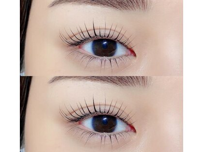 ジェネシス(Genesis)の写真