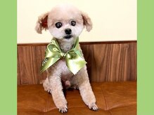すこやかさん 中野の雰囲気（水曜日～金曜日は看板犬めんまが出勤いたします♪）