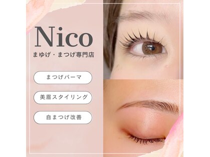 ニコ(Nico)の写真