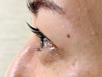 アイビーラッシュ(Eye'llbe lash)/ラッシュリフト