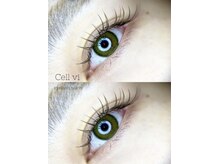セルヴィ(Cell vi)