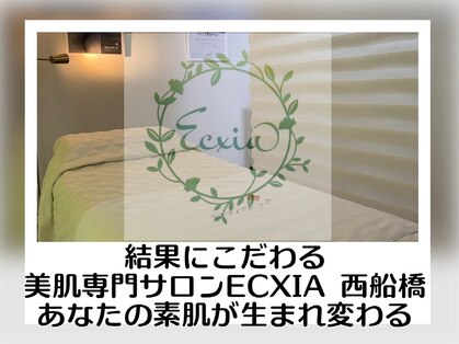 エクシア(ECXIA)の写真