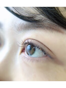 ロイス(ROIS)/◇フラットマットラッシュ120本