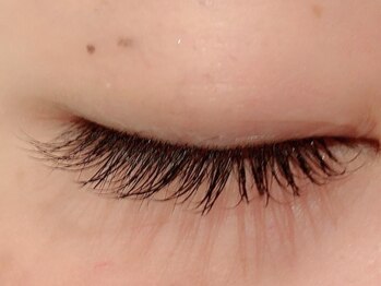 カラン 焼津店(CALIN)/フラットラッシュ120本♪