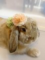 トータルビューティー オハナ 中央林間(OHANA) 吉川