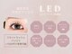 クリムアイラッシュ(crim eyelash)の写真