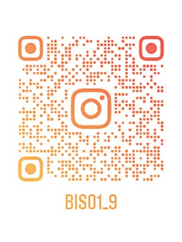 ビソウ(Biso)/インスタグラム☆彡