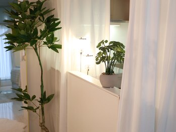 Eclore_re:skin/受付・観葉植物で癒しの空間作り