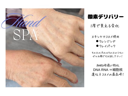 ブライド(Bride)の写真
