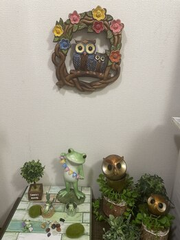 桜花カイロプラクティック/玄関ではフクロウたちがお出迎え