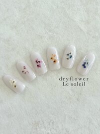 dryflower