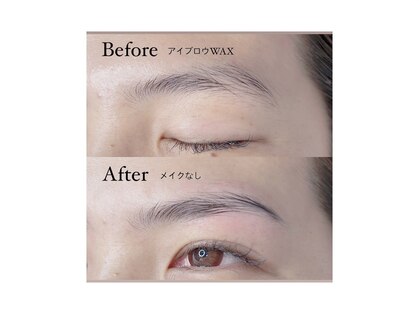 アイビー(IVY)の写真