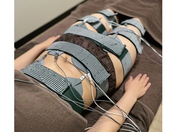 ラグーナ(Laguna)/マッスルIB