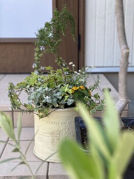 ハリラボ(hari Lab.)/ナチュラルテイストの入り口◎