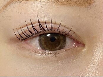 ビビ(VIVI)の写真/【豊富なメニュー×通いやすさ】目元のお悩みはVIVIで解決★自まつ毛を最大限活かした自然な仕上がりが魅力