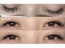 ウィート(WHeAT)/ボリュームラッシュ