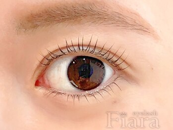 フィアラ 京都二条店(Fiara)/上下パリジェンヌ