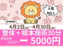 らいおん整骨院 府中店/キャンペーン