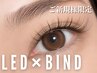 【モチ/LED】マツエク/バインドロックorパーフェクト80束[オフ無料]10,340→