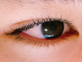 まつ毛エクステ専門店 リノ ビューティーアイラッシュ(LINO)/☆まつ毛カール☆