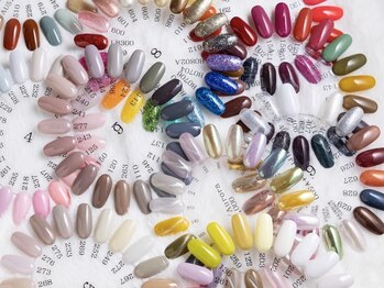 イーミリー(E.milii)/