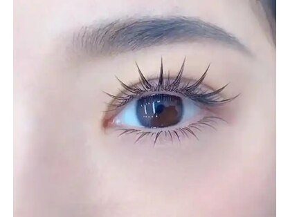 アイブライト(EYE Bright)の写真