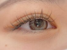 ジェミニ アイラッシュ(gemini eyelash)