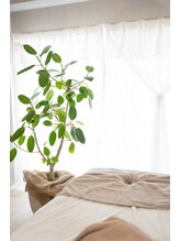 エイティーエイト(88)/*店内写真