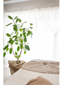 エイティーエイト(88)/*店内写真