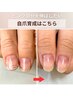 【自爪育成】短い爪から卒業してピンク部分を伸ばす縦長な自爪に育てるコース