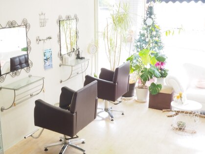 ソラ(sora)の写真