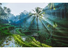 アジアンリラクゼーション ヴィラ 福岡東店(asian relaxation villa)/バリ島　ウブド　ライステラス