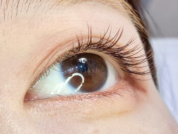 レイラッシュ 横浜モアーズ店(Reylash)/カラ-フラット ショコラブラウン