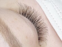 コボアイラッシュ(COVO.eyelash)/ボリュームラッシュ１２０束