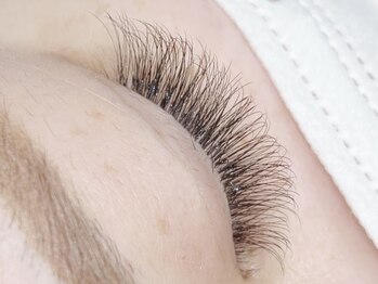 コボアイラッシュ(COVO.eyelash)/ボリュームラッシュ１２０束