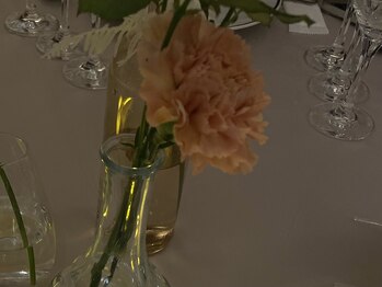 リディック(ReDec)/ReDec/Aeclat