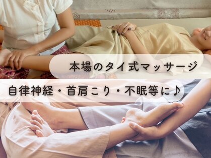 パーム(PALM)の写真
