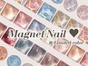 人気No.2★ 夏の限定色* 水光マグネット/フラッシュマグネットネイル♪ ¥4950