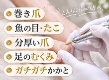 コトリ(Kotori)