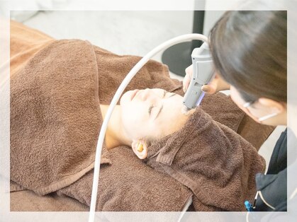 トランク(Trunk)の写真