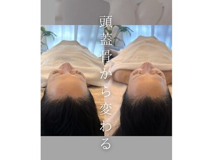 トゥルプ(TULIP)の写真