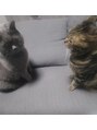 ルシェルブルー(Le ciel bleu)&nbsp;飼ってる猫♪