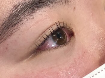 ピクシーボブ(Pixie Bob)/★マツパ、直角スタイル