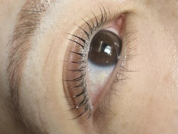 アロマローズ(Aroma Rose)/まつげパーマ　ラッシュリフト