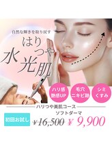 トータルビューティーサロン ヴィヴィエ(ViVier)/ソフトダーマ　水光肌