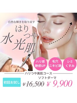 トータルビューティーサロン ヴィヴィエ(ViVier)/ソフトダーマ 水光肌