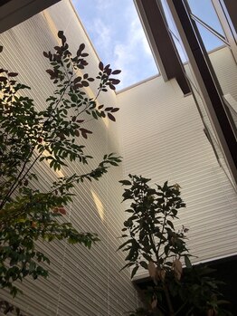 エム(M)/新築建物