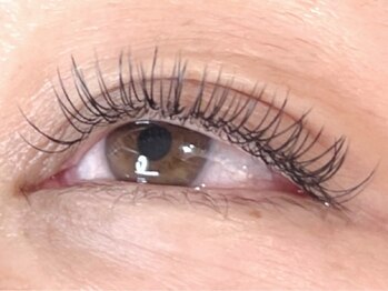 ウルカ アイラッシュ(uruka EYELASH)/フラットラッシュ120本