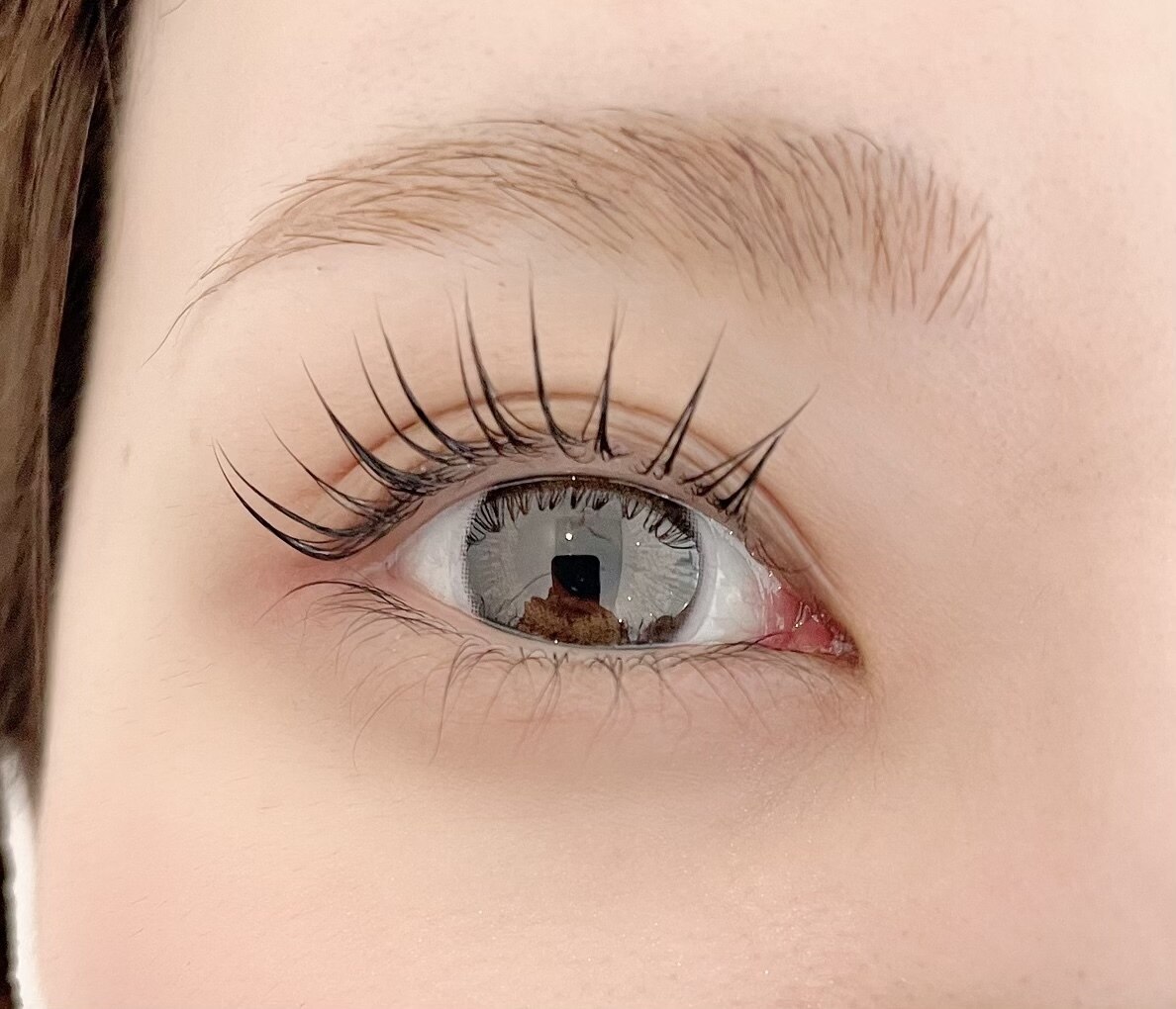 アイラッシュモーヴ(eyelash mauve)｜ホットペッパービューティー