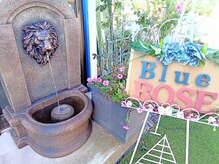 ブルーローズ(Blue rose)/